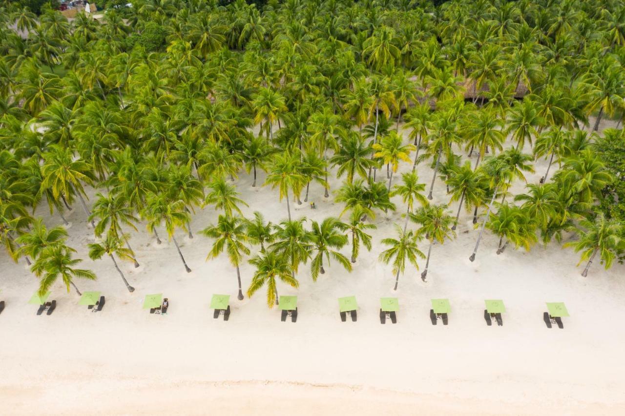 Oceanica Resort Panglao, Bohol Екстериор снимка Palm trees on the beach
