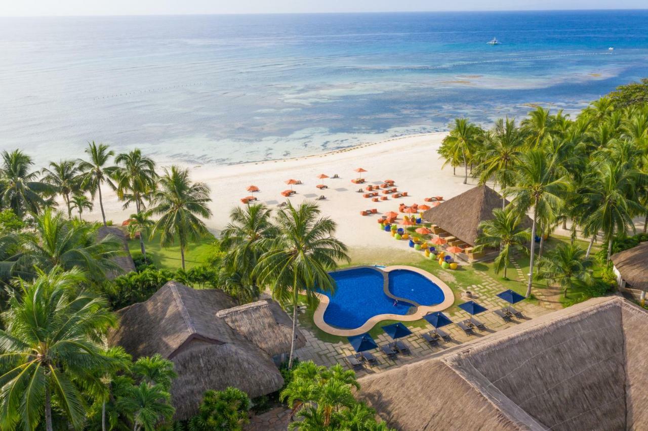 Oceanica Resort Panglao, Bohol Екстериор снимка Aerial view of the beach at the resort