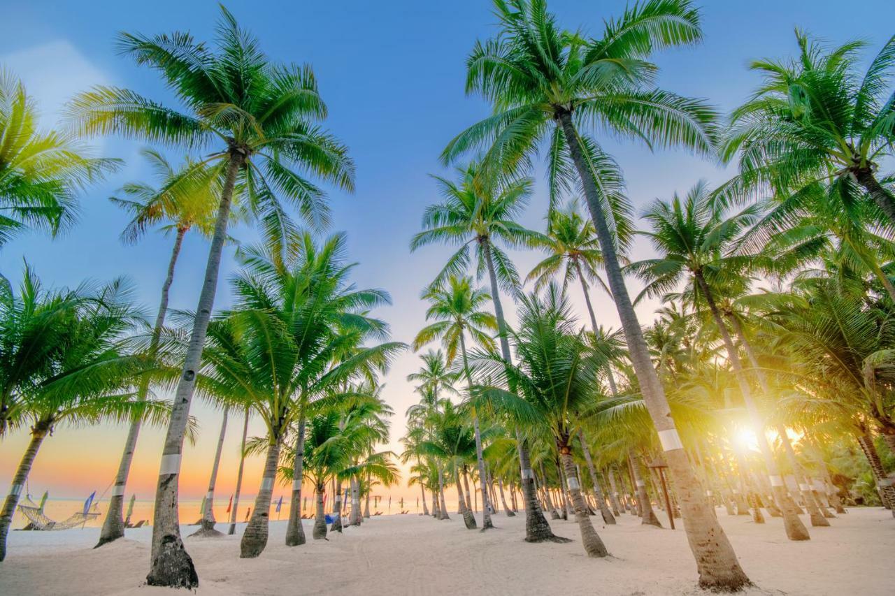 Oceanica Resort Panglao, Bohol Екстериор снимка Palm trees on a beach